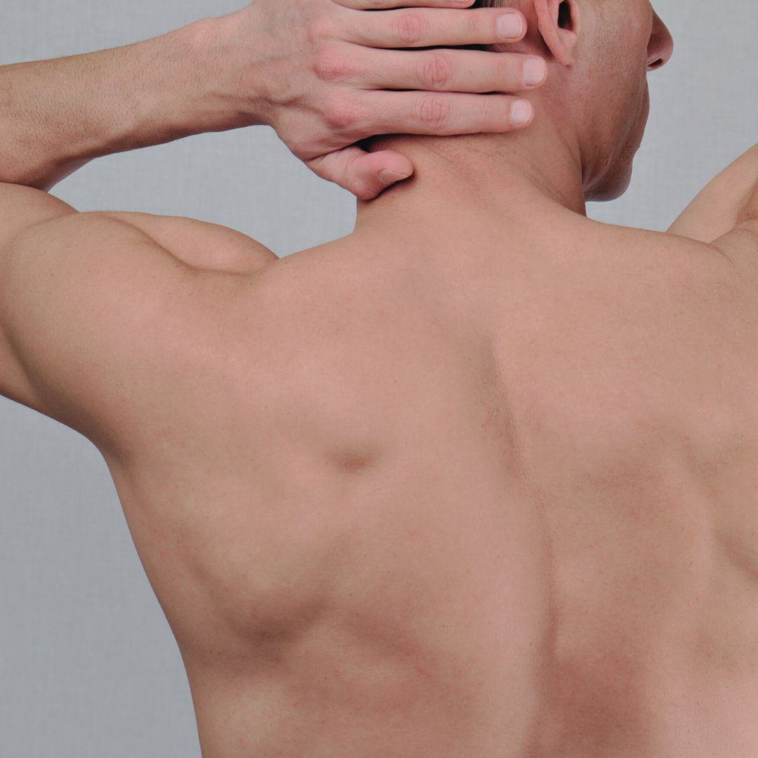 Back OR Chest Wax Image
